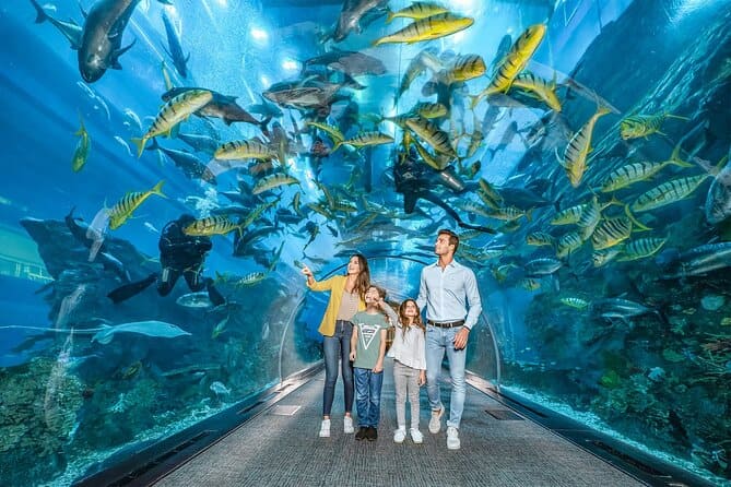 Dubai Mall Aqurium and Under water zoo